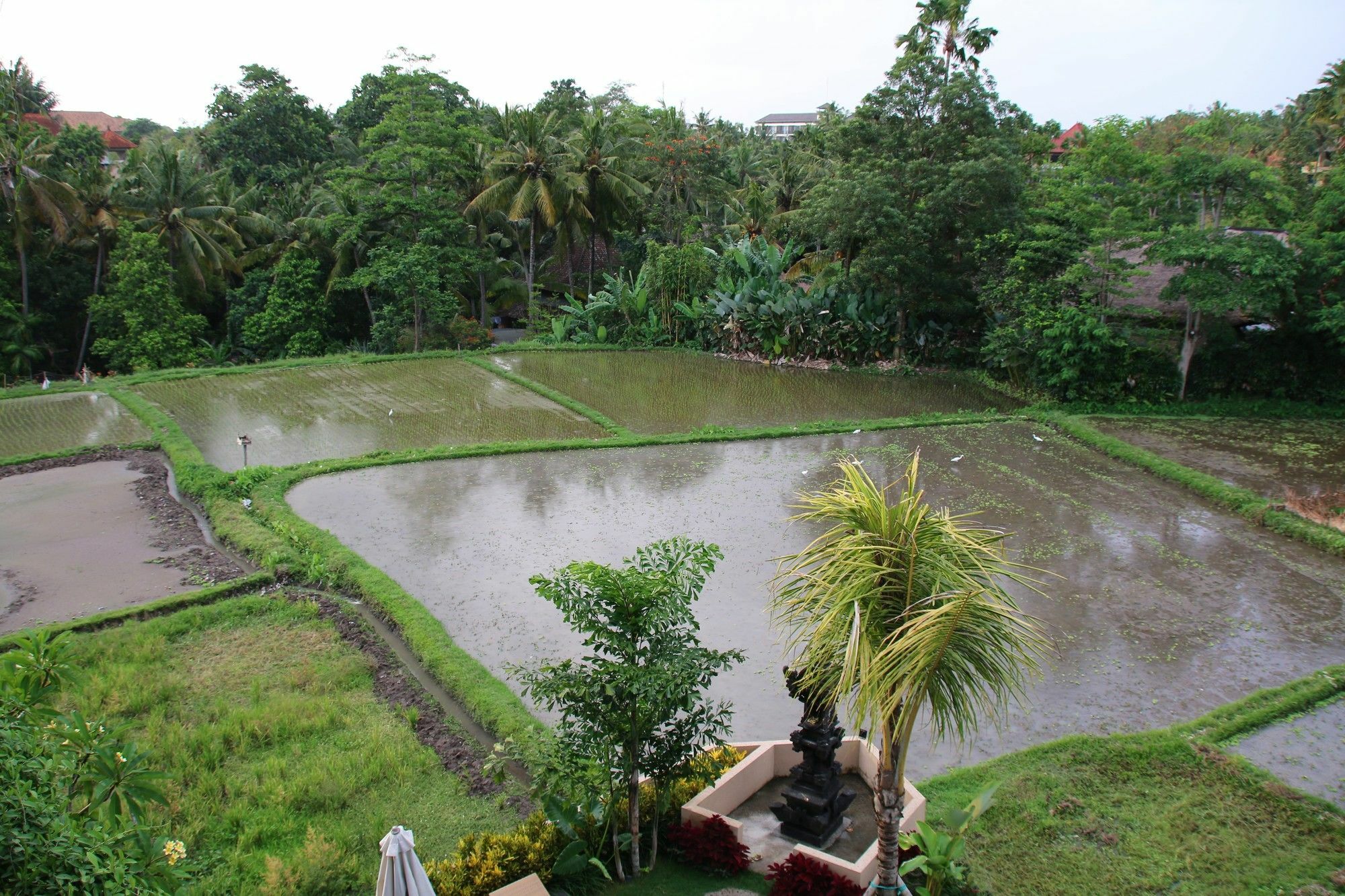 Byasa Ubud Buitenkant foto