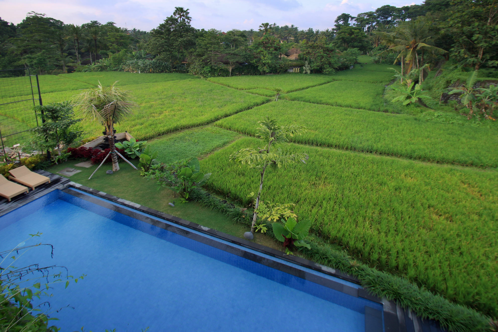 Byasa Ubud Buitenkant foto