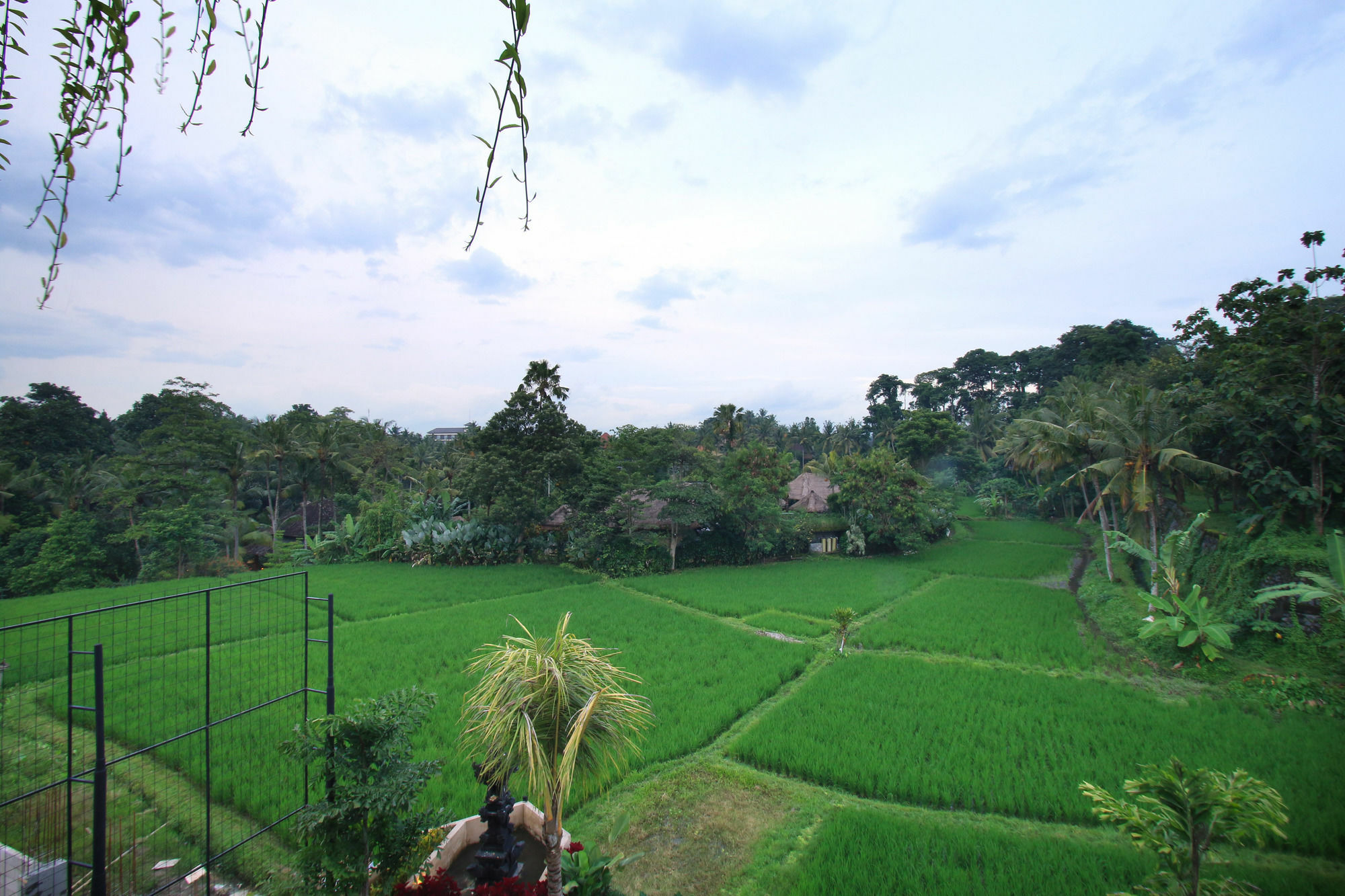 Byasa Ubud Buitenkant foto